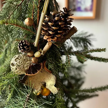 Nad Dzika Plaza Διαμέρισμα *